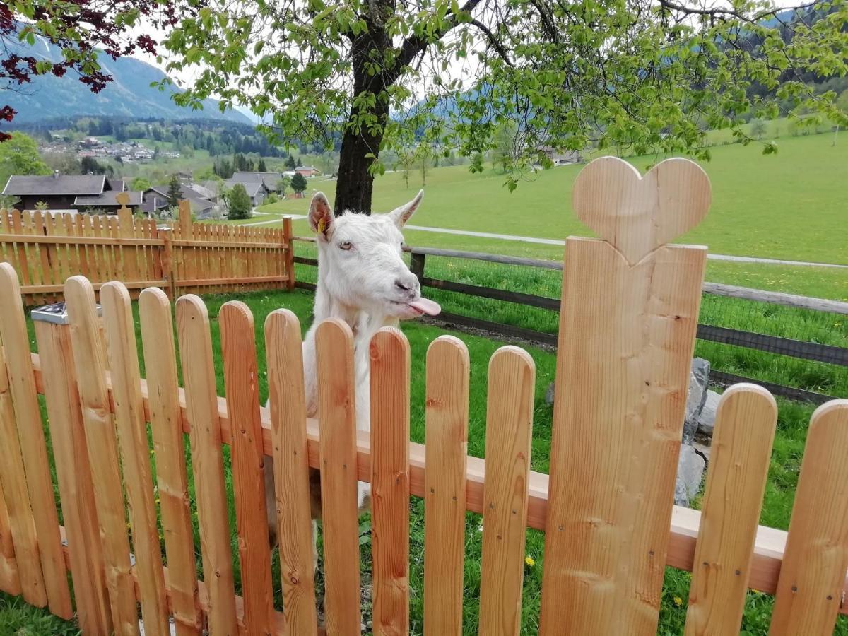 Vorderkasbichlhof Villa Saalfelden Luaran gambar